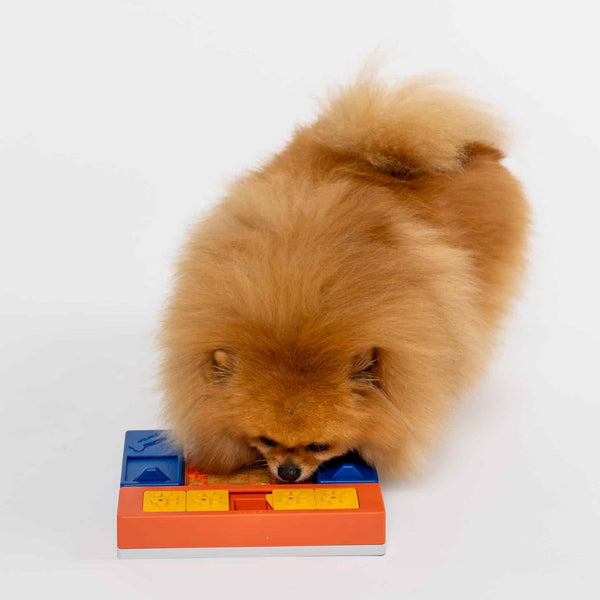 Pawzler Beginner Set