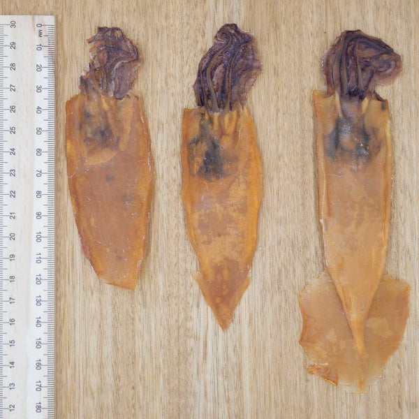 Whole Dried Arrow Squid