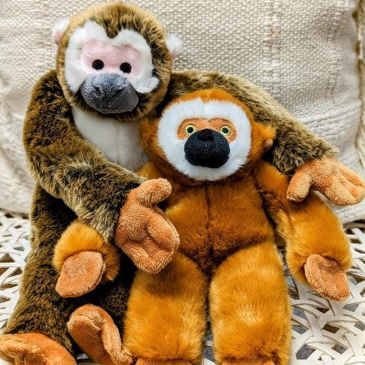 Marcel Monkey - Medium