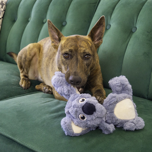 KONG Scrumplez Koala - Give Paws