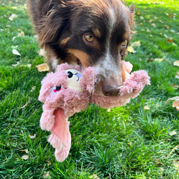 KONG Scrumplez Bunny - Give Paws
