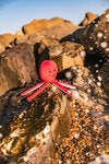 Sustainapaws Octopus 100% Recycled Plastic Double Layered Plush Dog Toy - Give Paws