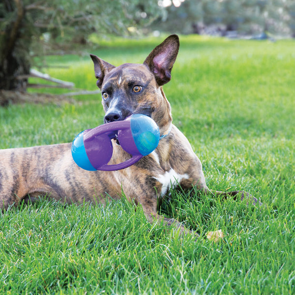 KONG Jumbler Disc - Give Paws