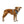 Ruffwear Front Range Flex Harness - Give Paws