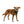 Ruffwear Front Range Flex Harness - Give Paws