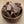 Rabbit Loin Bones - Halves - Give Paws