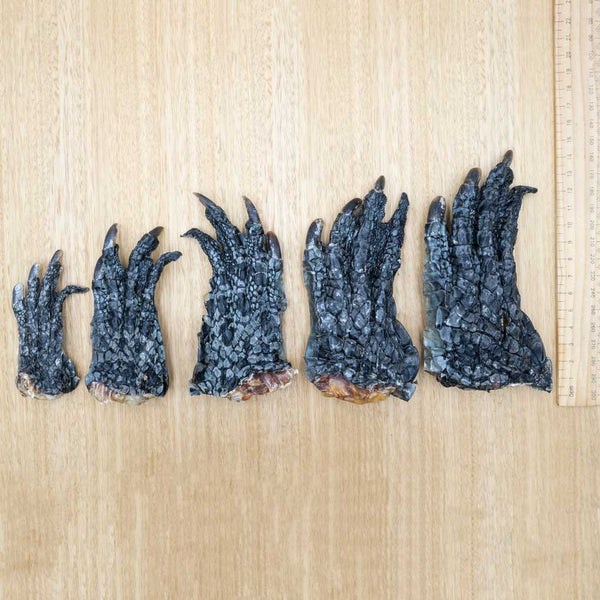 Crocodile Feet - Give Paws