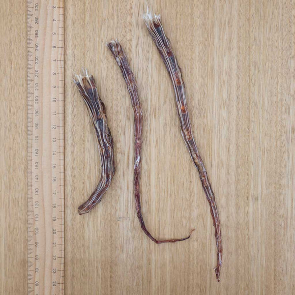 Moo Tail Tips - Give Paws