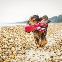 Sustainapaws Octopus 100% Recycled Plastic Double Layered Plush Dog Toy - Give Paws