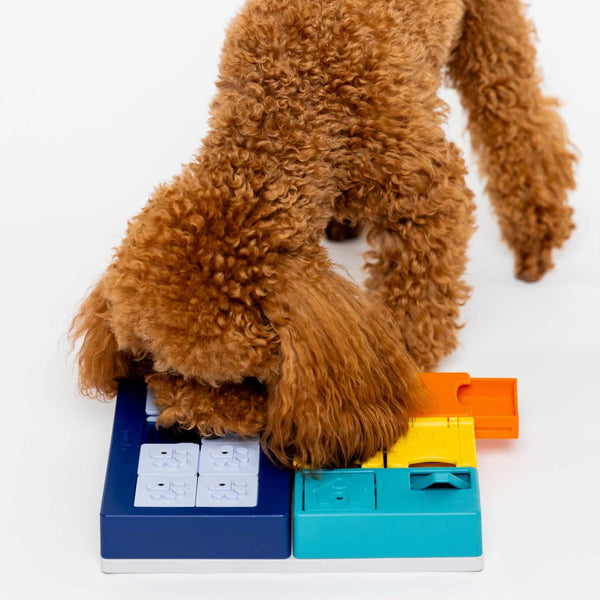 Pawzler Smarty Set