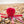Sustainapaws Octopus 100% Recycled Plastic Double Layered Plush Dog Toy - Give Paws