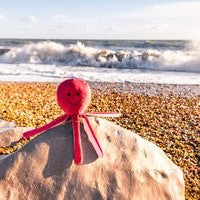 Sustainapaws Octopus 100% Recycled Plastic Double Layered Plush Dog Toy - Give Paws
