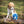 Sustainapaws Triceratops 100% Recycled Plastic Double Layered Plush Dog Toy - Give Paws