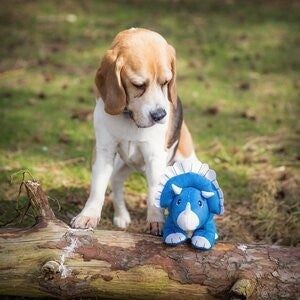 Sustainapaws Triceratops 100% Recycled Plastic Double Layered Plush Dog Toy - Give Paws