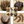 Puppy Pack - Variety Is The Spice of Life