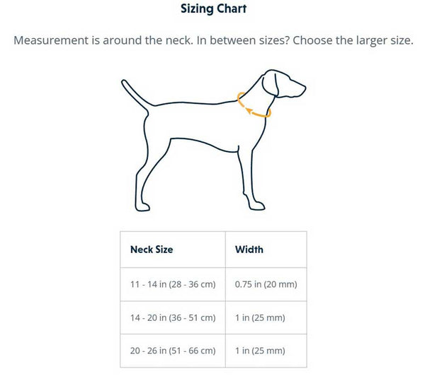 Ruffwear Front Range Dog Collar - Give Paws