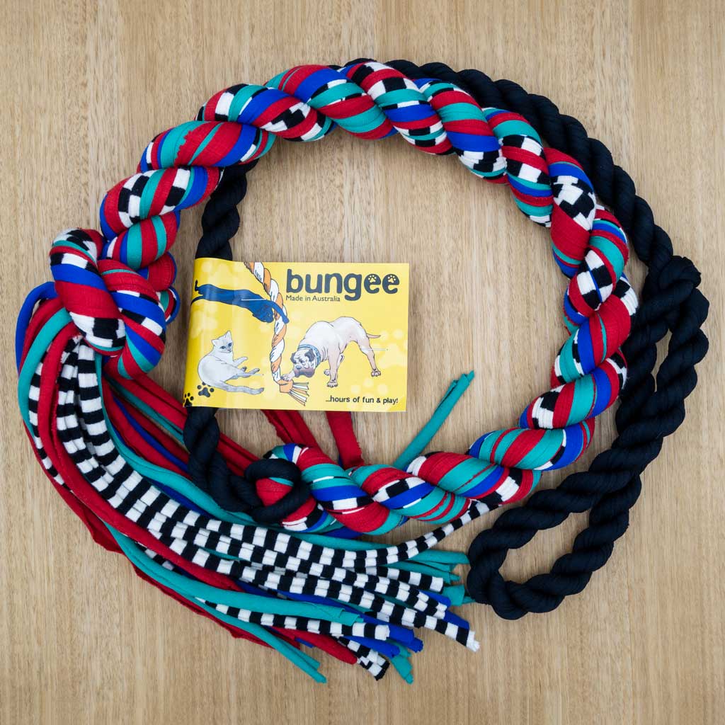 Bungee Rope - Medium – Give Paws
