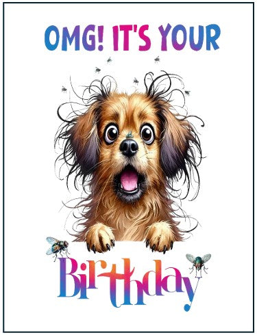 Birthday Cards
