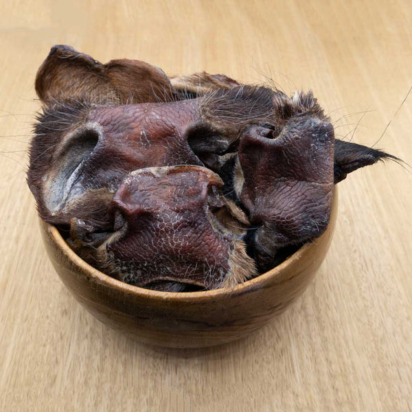 Cow Snout Pieces - Give Paws