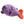 Cici the Tropical Fish - Medium