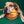 Basketball - Large