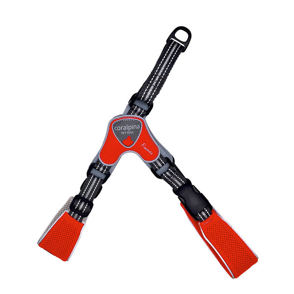 Coralpina Fiames Reflective Harness