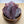 Wallaby Jerky - Give Paws