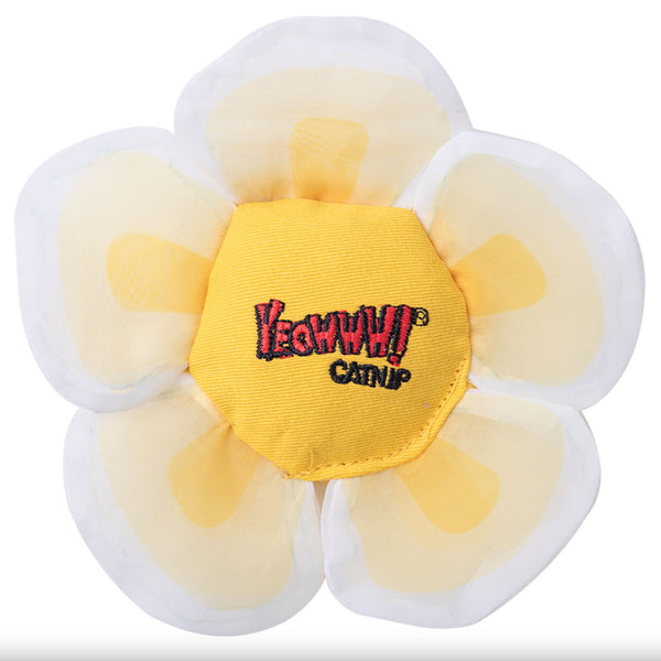 Yeowww! Daisy's Flower Tops - Give Paws