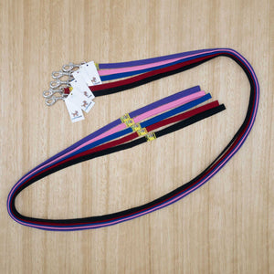 12mm x 1.8 metre Webbing Lead with Light Clip - Give Paws