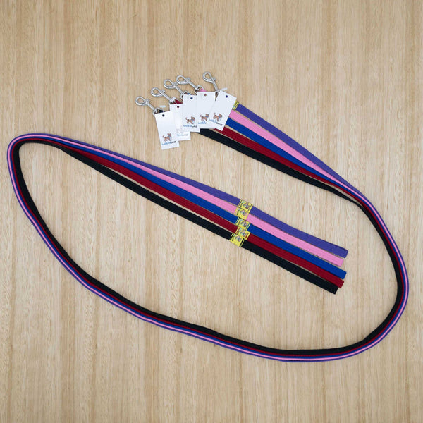 12mm x 2 metre Webbing Lead with Extra Light Clip - Give Paws