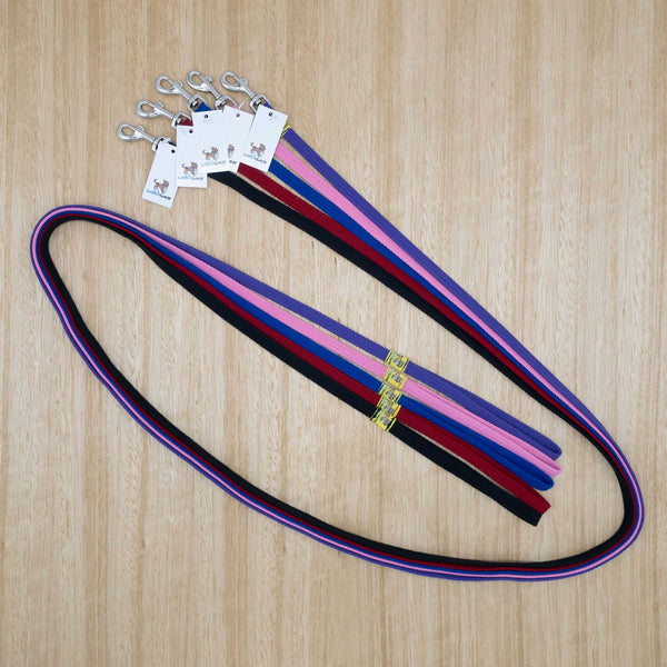 12mm x 2 metre Webbing Lead with Light Clip - Give Paws