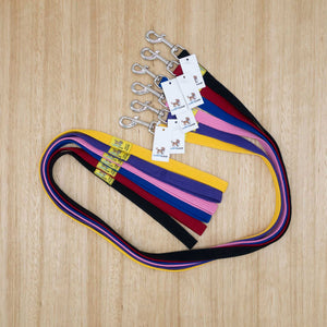 20mm x 1.2 metre Webbing Lead with Medium Clip - Give Paws