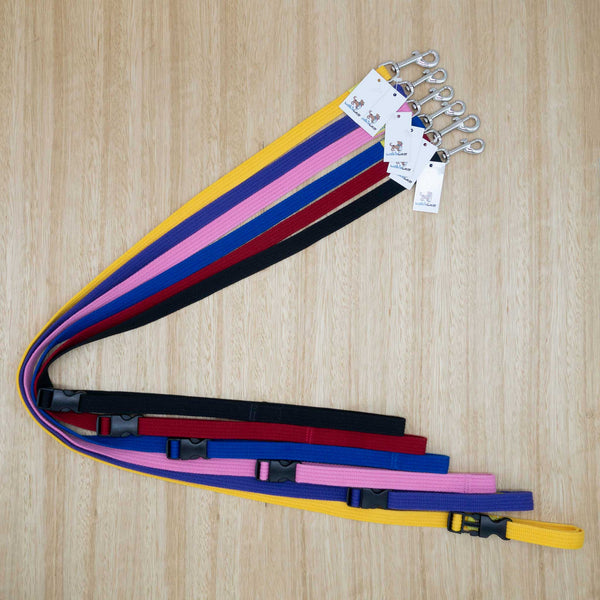 20mm x 1.5 metre Webbing Smart Lead with Medium Clip - Give Paws