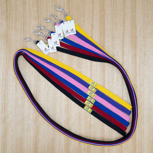 20mm x 2 metre Webbing Lead with Medium Clip - Give Paws