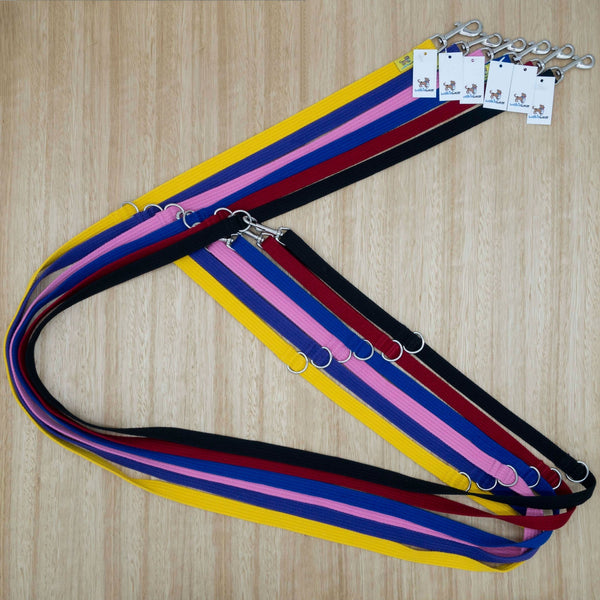 20mm x 2.2 metre Webbing Double Ended Lead with Medium Clips - Give Paws