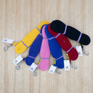 20mm x 5 metre Webbing Lead with Medium Clip - Give Paws