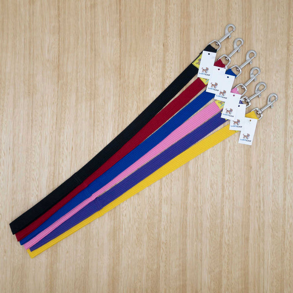 25mm x 0.6 metre Webbing Lead with Large Clip - Give Paws