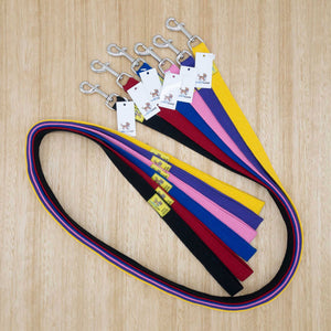 25mm x 1.5 metre Webbing Lead with Large Clip - Give Paws