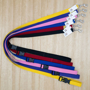 25mm x 1.5 metre Webbing Smart Lead with Large Clip - Give Paws