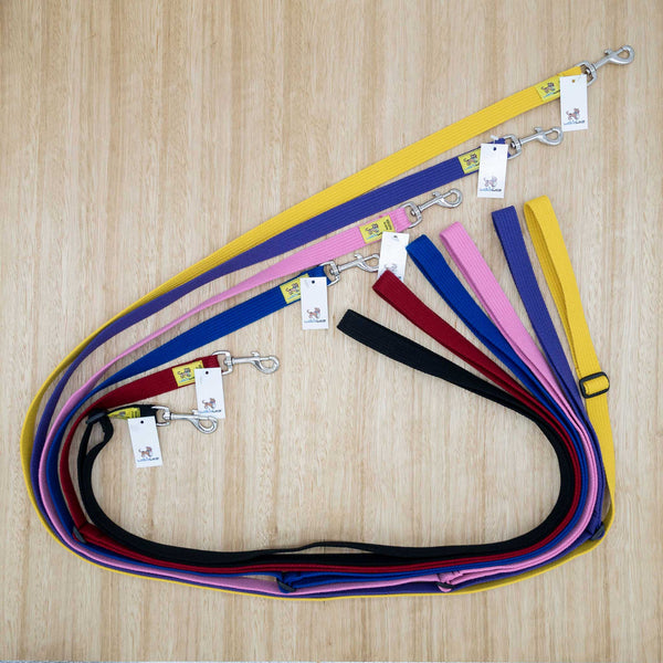 25mm x 2 metre Adjustable Lead with Large Clips - Give Paws
