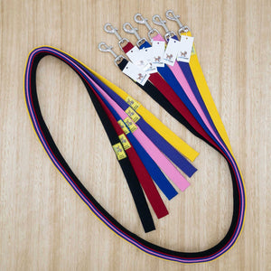 25mm x 2 metre Webbing Lead with Large Clip - Give Paws