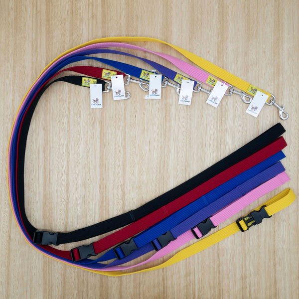 25mm x 2 metre Webbing Smart Lead with Large Clip - Give Paws