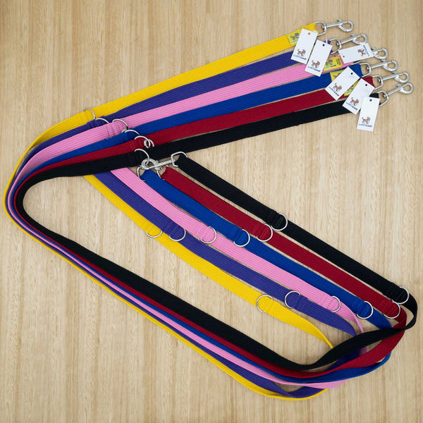25mm x 2.2 metre Webbing Double Ended Lead with Large Clips - Give Paws