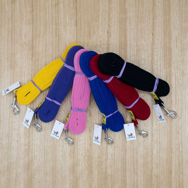 25mm x 5 metre Webbing Lead with Medium Clip - Give Paws