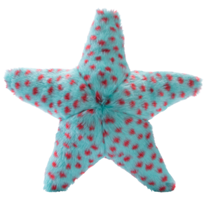 Ally Starfish - Small - Give Paws
