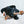 KONG Shakers Luvs Giraffe - Give Paws