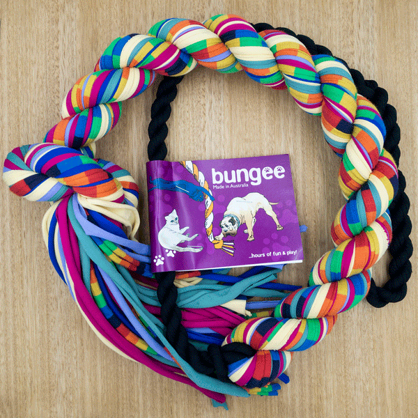 Bungee Rope - Large - Give Paws