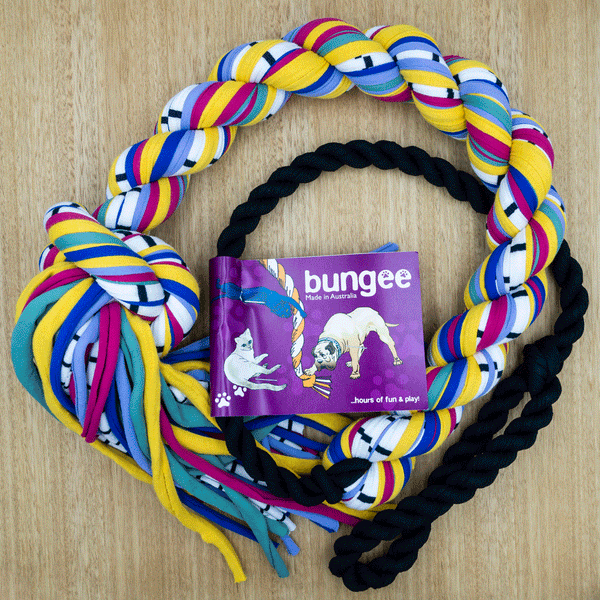 Bungee Rope - Large - Give Paws