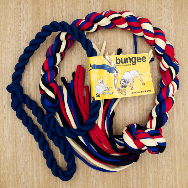 Bungee Rope - Medium - Give Paws