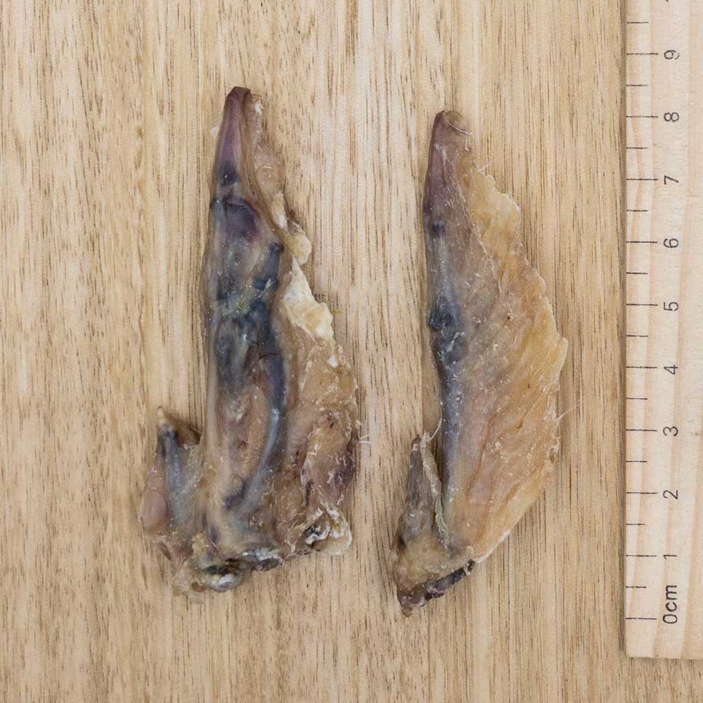 Can dogs eat clearance chicken wing tips